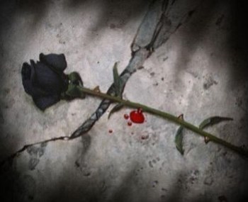 amoure morte